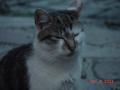 DSC00024.JPG