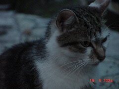 DSC00026.JPG