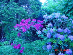 DSC00055.JPG