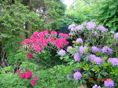 DSC00056.JPG