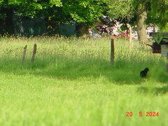 DSC00066.JPG