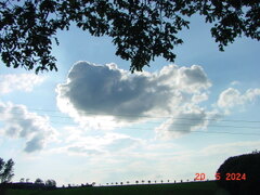 DSC00075.JPG