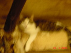 DSC00082.JPG