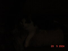 DSC00084.JPG
