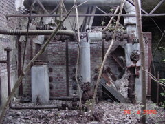 DSC00177.JPG
