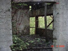 DSC00229.JPG