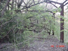 DSC00239.JPG