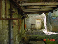 DSC00260.JPG