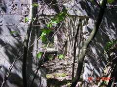 DSC00265.JPG