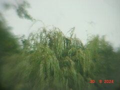 DSC00163.JPG
