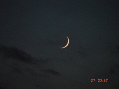 DSC00017.JPG