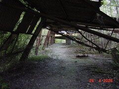 DSC00245.JPG