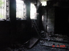 DSC00317.JPG