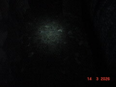 DSC00103.JPG