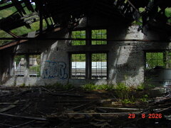 DSC00683.JPG