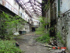 DSC00771.JPG
