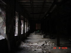 DSC00796.JPG