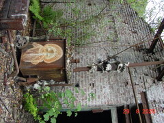 DSC00711.JPG