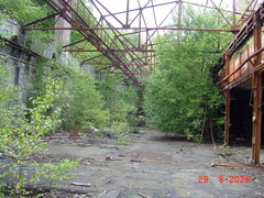 DSC00732.JPG