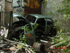 DSC00739.JPG