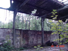 DSC00536.JPG