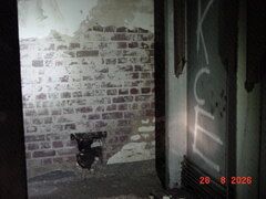 DSC00545.JPG