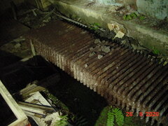 DSC00570.JPG