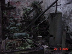 DSC00596.JPG
