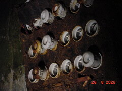DSC00617.JPG