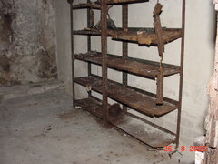 DSC00669.JPG
