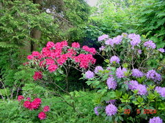 DSC00053.JPG
