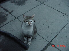 DSC00009.JPG