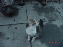 DSC00011.JPG