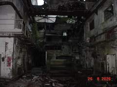 DSC00586.JPG