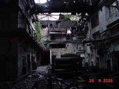 DSC00587.JPG