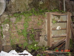 DSC00675.JPG