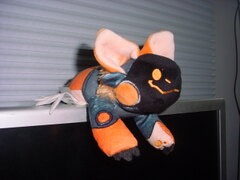 DSC00033.jpg