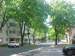 MVC-004S_1779203022576.JPG