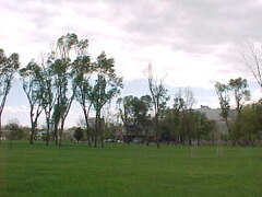 MVC-006S.JPG