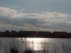 MVC-010S_1777909978276.JPG