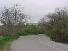 MVC-014S.JPG