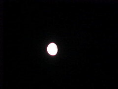 MVC-029S_1783199681515.JPG