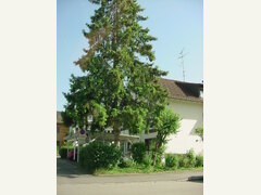 MVC-005F.JPG