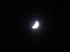 DSC00528.JPG