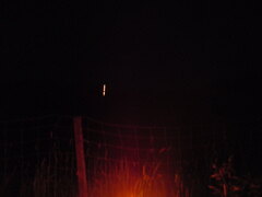 DSC00539.JPG