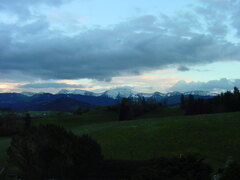 DSC00444_2.JPG