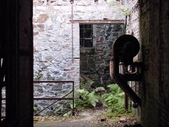 DSC00875.JPG