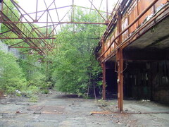 DSC00901.JPG