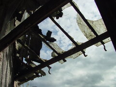 DSC00917.JPG