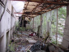 DSC00941.JPG